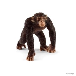 Schleich 14817 Szympans samiec
